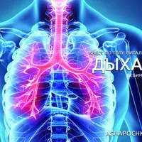 Квест по телу: витальные функции. Дыхание