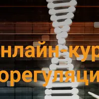 Саморегуляция