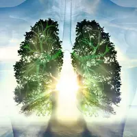 Дыхание. Вирус стоп