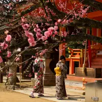 Японский фольклор: храмовые легенды и чудеса