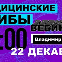 Медицинские грибы