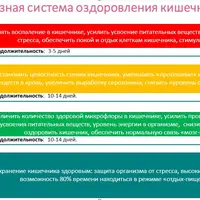 Здоровый кишечник