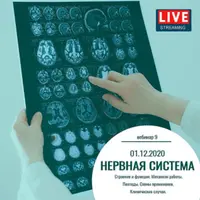 Нервная система