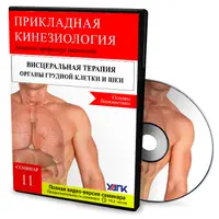 Висцеральная терапия органов грудной клетки и шеи. Основы Биокинетики