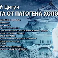 Защита от Патогена Холод. Зимний Цигун