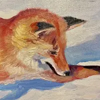 Лисичка в снегу. Зимняя охота