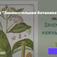 Занимательная ботаника