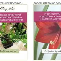 Руководство по выращиванию и уходу за комнатными растениями