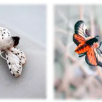 Мотыльковый мультимарафон