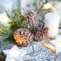 ЭтоНеШишки