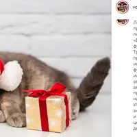 Блоки упражнений для функциональной тренировки