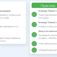 Видео-гид по щенку