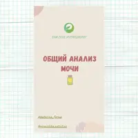 Руководство по расшифровке общего анализа мочи