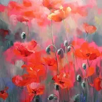 Цветы: Красная роза, Пионы на темном фоне, Маки