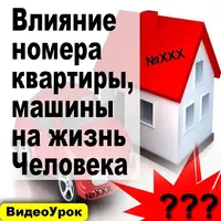 Влияние номера квартиры и машины на Человека