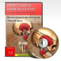 Прикладная кинезиология. Семинар №14