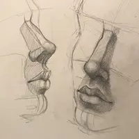 Анатомия головы человека