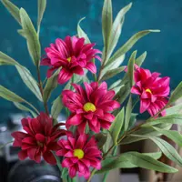 Хризантема