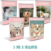 5 мастер-классов по валянию: Котенок, Фенек, Белочка, Теленок, Корги