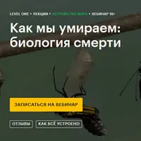 Как мы умираем: биология смерти