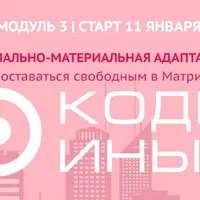 Коды Иных. Углубленный курс. Модуль 3: Социально-материальная адаптация
