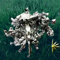 Группа по обучению Целительству. Месяц 1