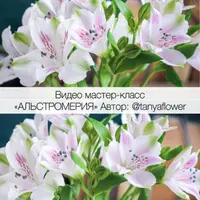 Альстромерия