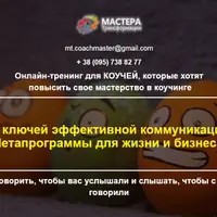 38 ключей эффективной коммуникации. Метапрограммы для жизни и бизнеса