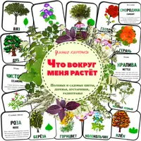 Окружающий мир. Мир растений