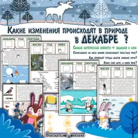 Окружающий мир. Интерактивные Лесные газеты. Зимние выпуски