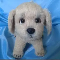 Щенок ретривера - Ричи