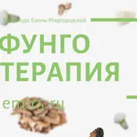 Фунготерапия