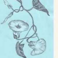 Ретро графика-2