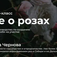 Все о розах. Полное руководство по созданию розария у себя на участке