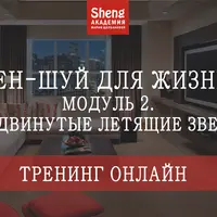 Фен-шуй для жизни. Модуль 2. Продвинутые летящие звезды