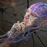 Верить ли чувствам, и как не спутать их с художественным вымыслом?