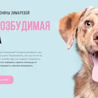 Гипервозбудимая собака