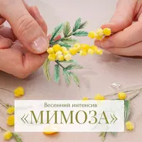 Интенсив «Мимоза»