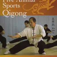 Игра пяти зверей с позиции Цигун