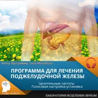 Программа для лечения поджелудочной железы