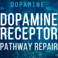 Дофаминовый рецептор - восстановление пути