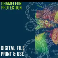 Защита Хамелеона - Энергозащита