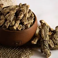 Заготовка корневищных растений в осенний период