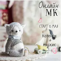 Котёнок + пиджак