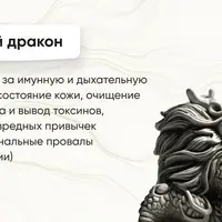 Сокровища золотого дракона