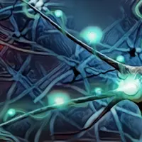 BDNF: Нейротрофический фактор головного мозга