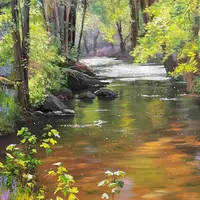 Солнечная заводь