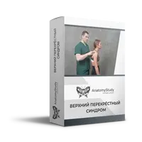 Верхний перекрестный синдром