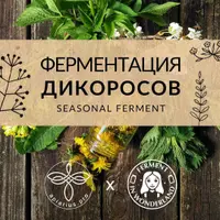 Ферментация дикоросов