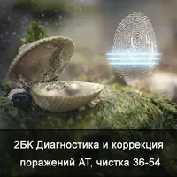 Диагностика и коррекция поражений астрального тела: чистка от 36 до 54 лет